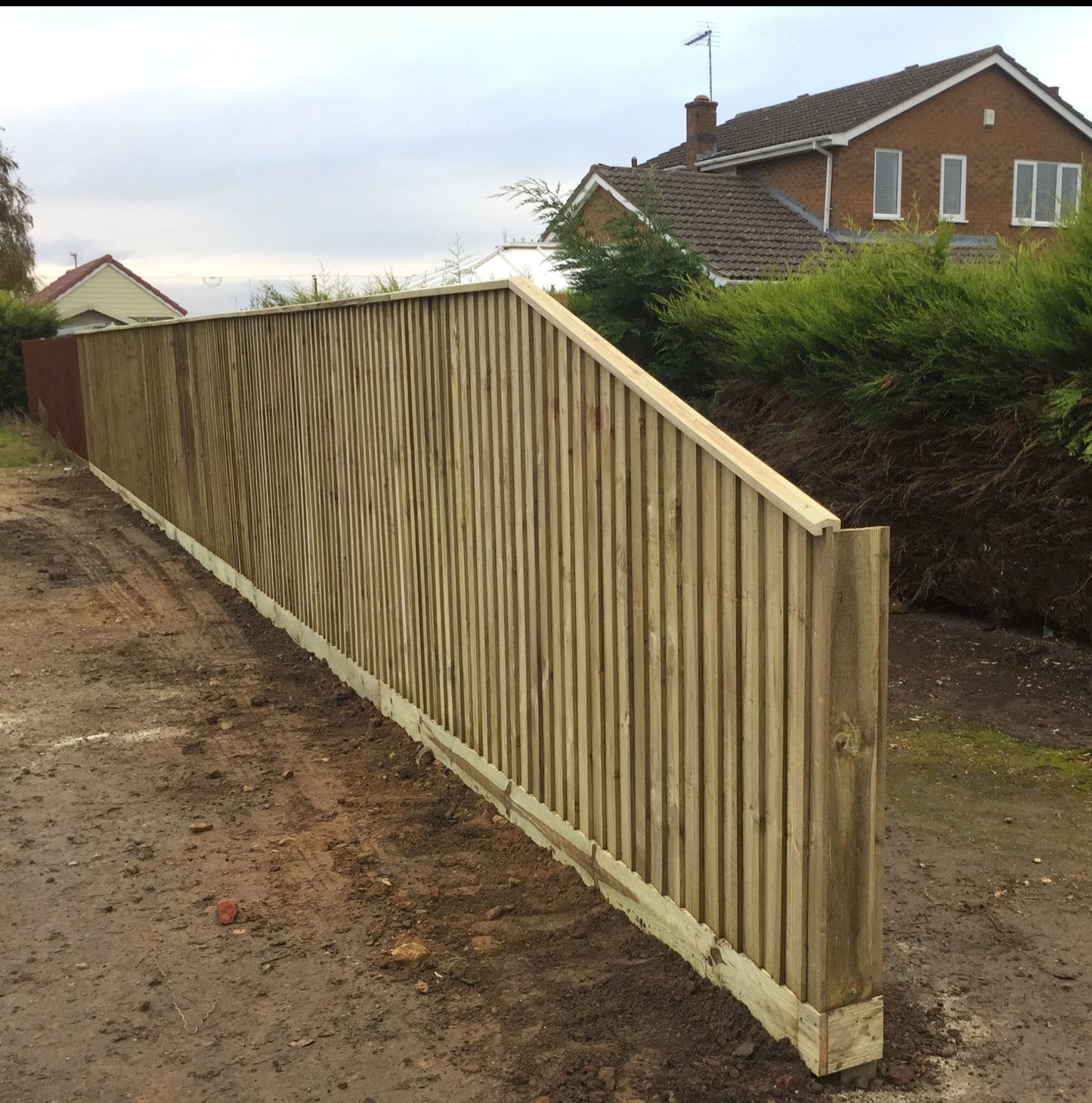 Rebated Green Capping 38mm x 65mm x 3m